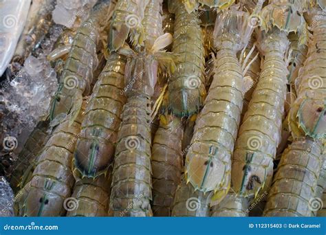 The Peacock Mantis Shrimp is included in the Smashing Mantis Shrimp group. . Fresh mantis shrimp for sale